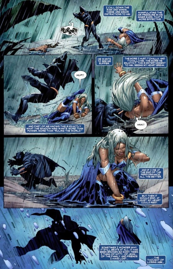 StormBlackPanther12