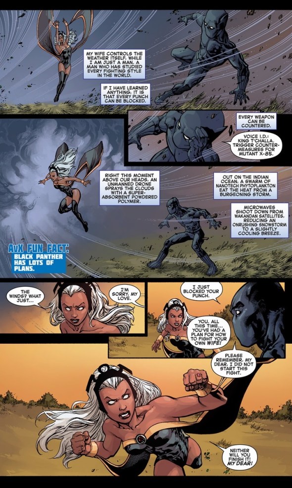 StormBlackPantherBattle3