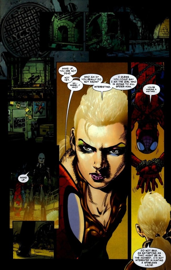 SpiderManDaredevilVin8